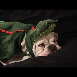 Meet your Posher, Le anne